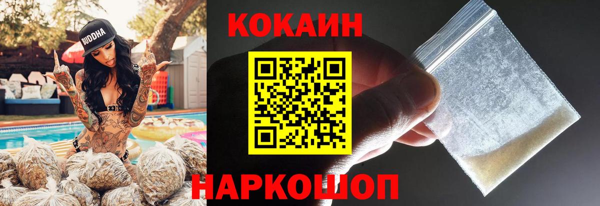 дарнет шоп  Кокаин 97%  Вход с VPN  Сургут  Cocaine Fish Scale 