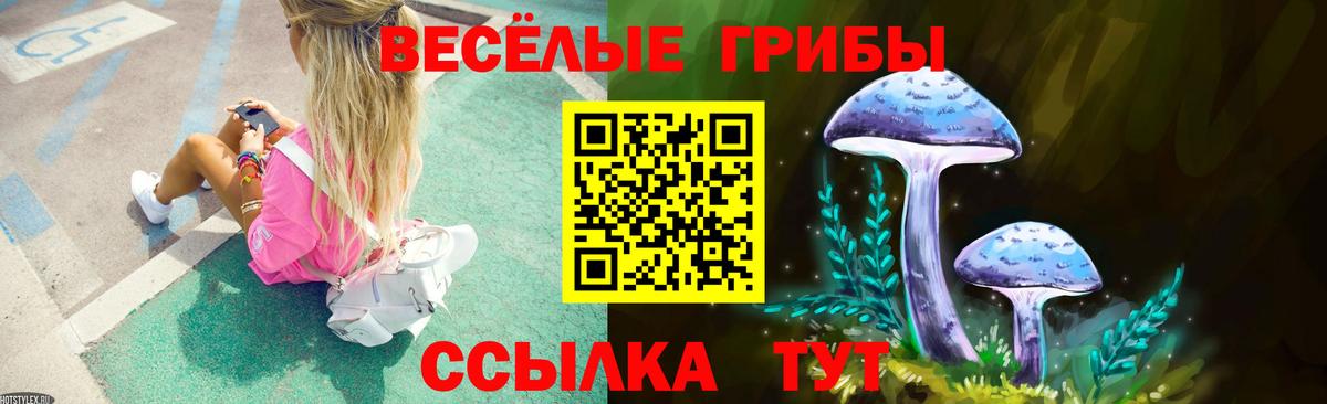 Сургут  Галлюциногенные грибы Magic Shrooms  где можно купить наркотик  Вход с VPN  Псилоцибиновые грибы Magic Shrooms 